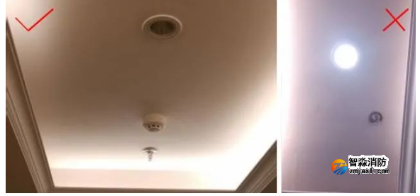 1647316809158227.png image.png